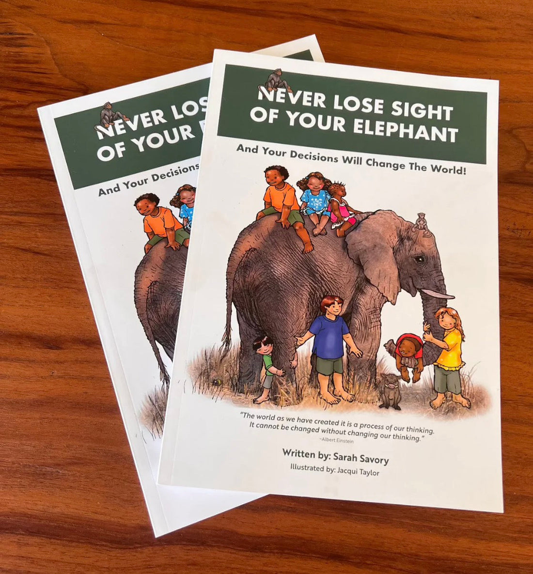 Libro Never Lose Sight of Your Elephant