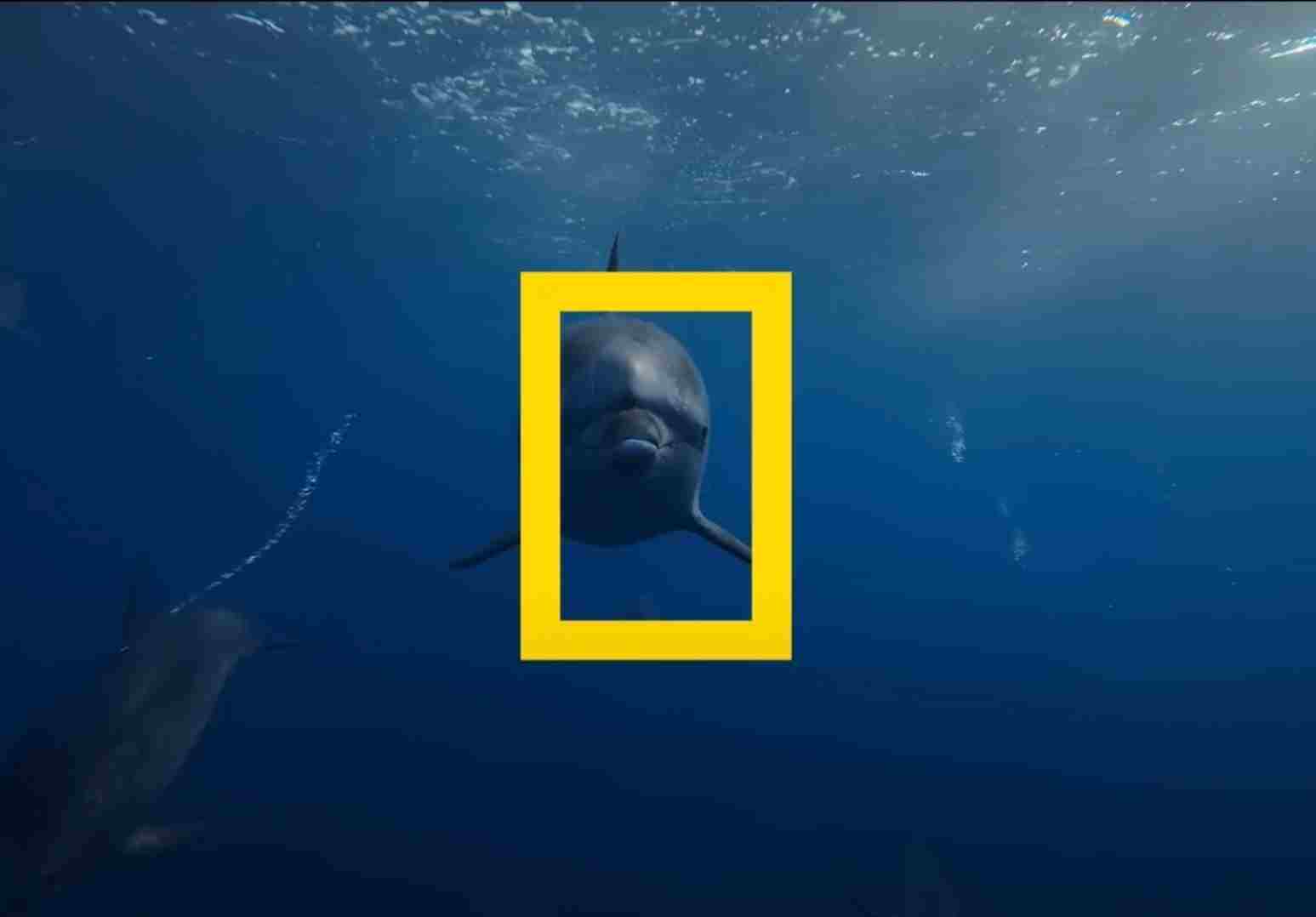 Video Océano con David Attenborough