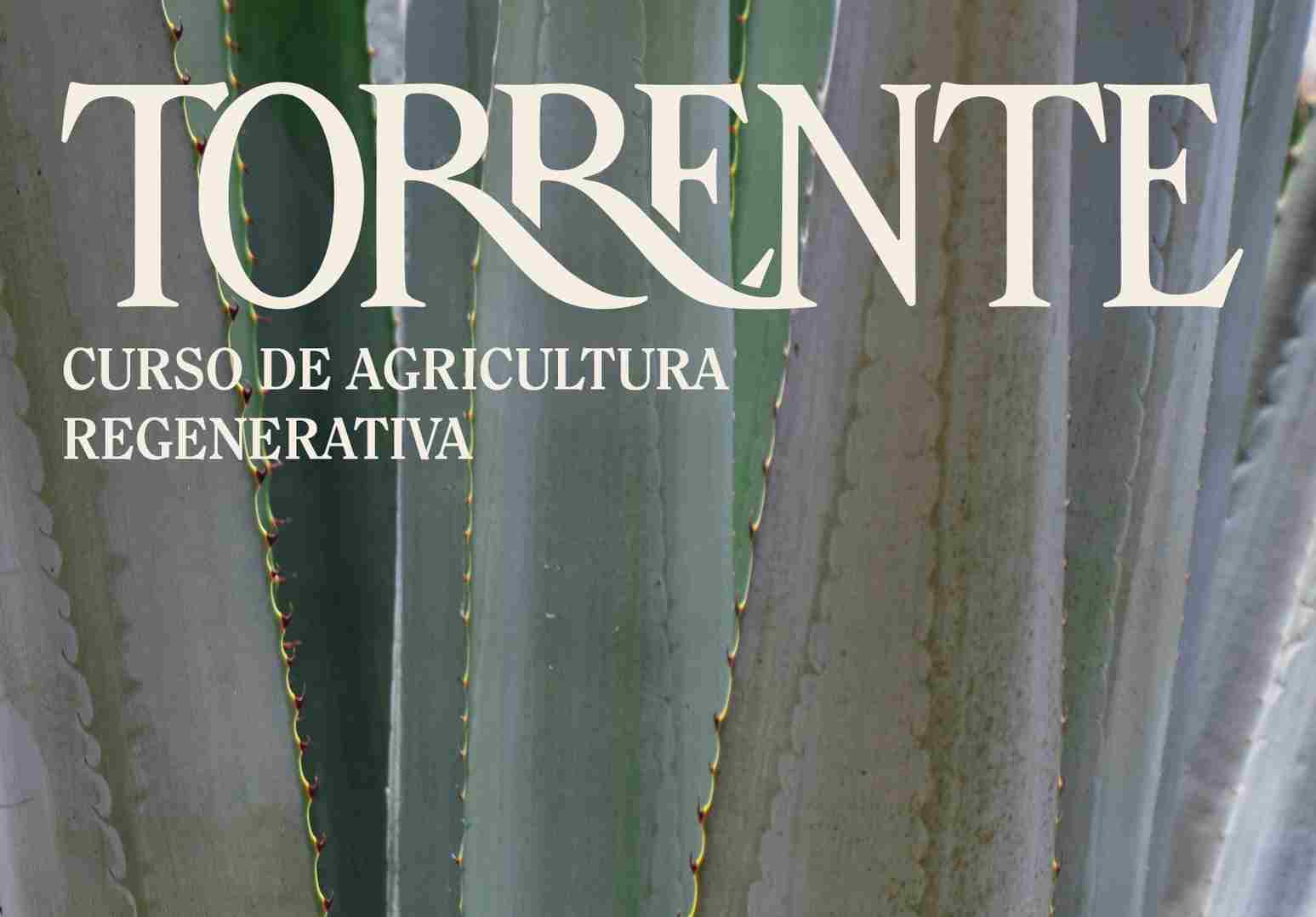 Semana Torrente │ 26 Septiembre 2025