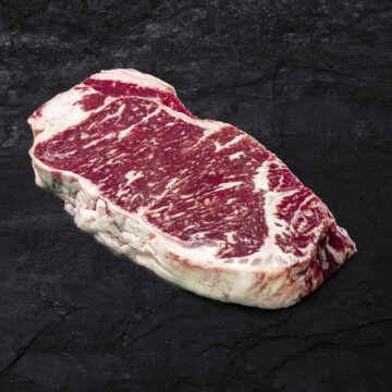 New York de pastoreo Tierra de Todos