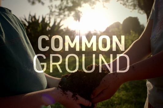 Video Documental Common Gound 2025