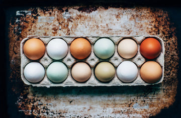 Cracking the Health Benefits of the Pasture-Raised Eggs