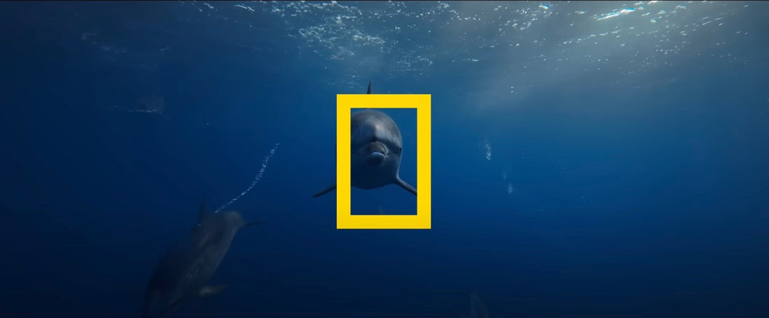 Video Océano con David Attenborough