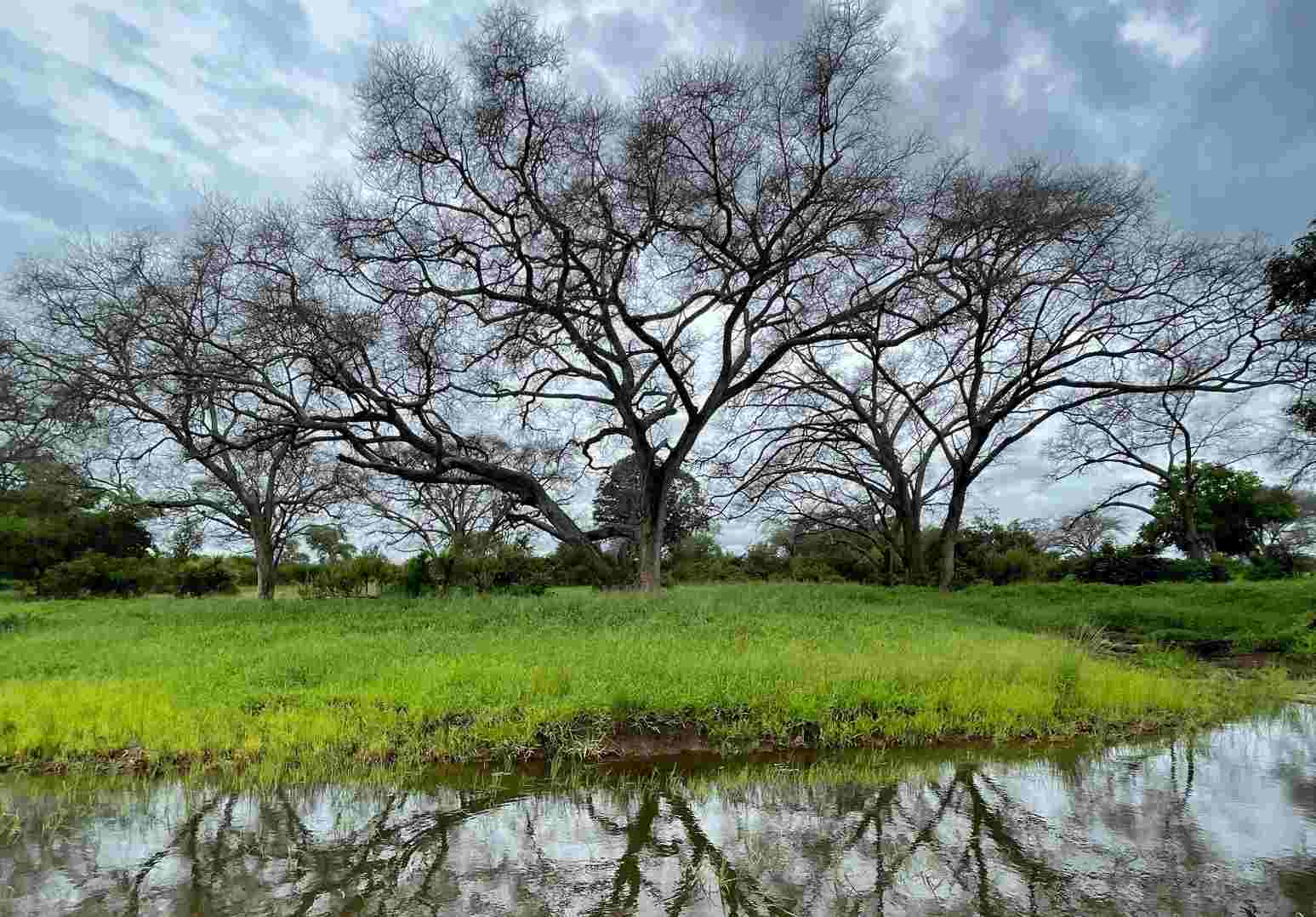Journey to Dimbangombe