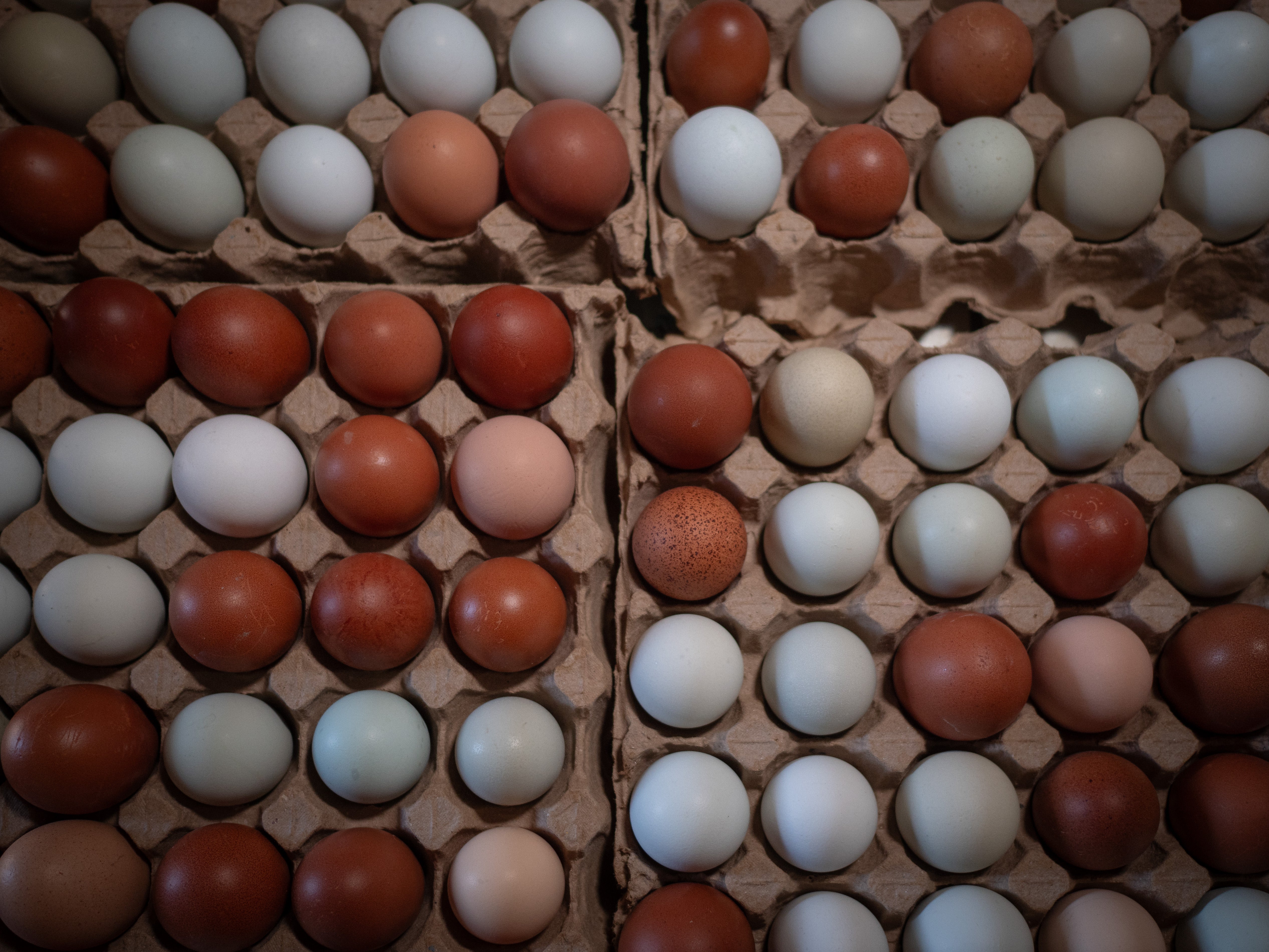Huevo, en treintena, de gallinas de pastoreo