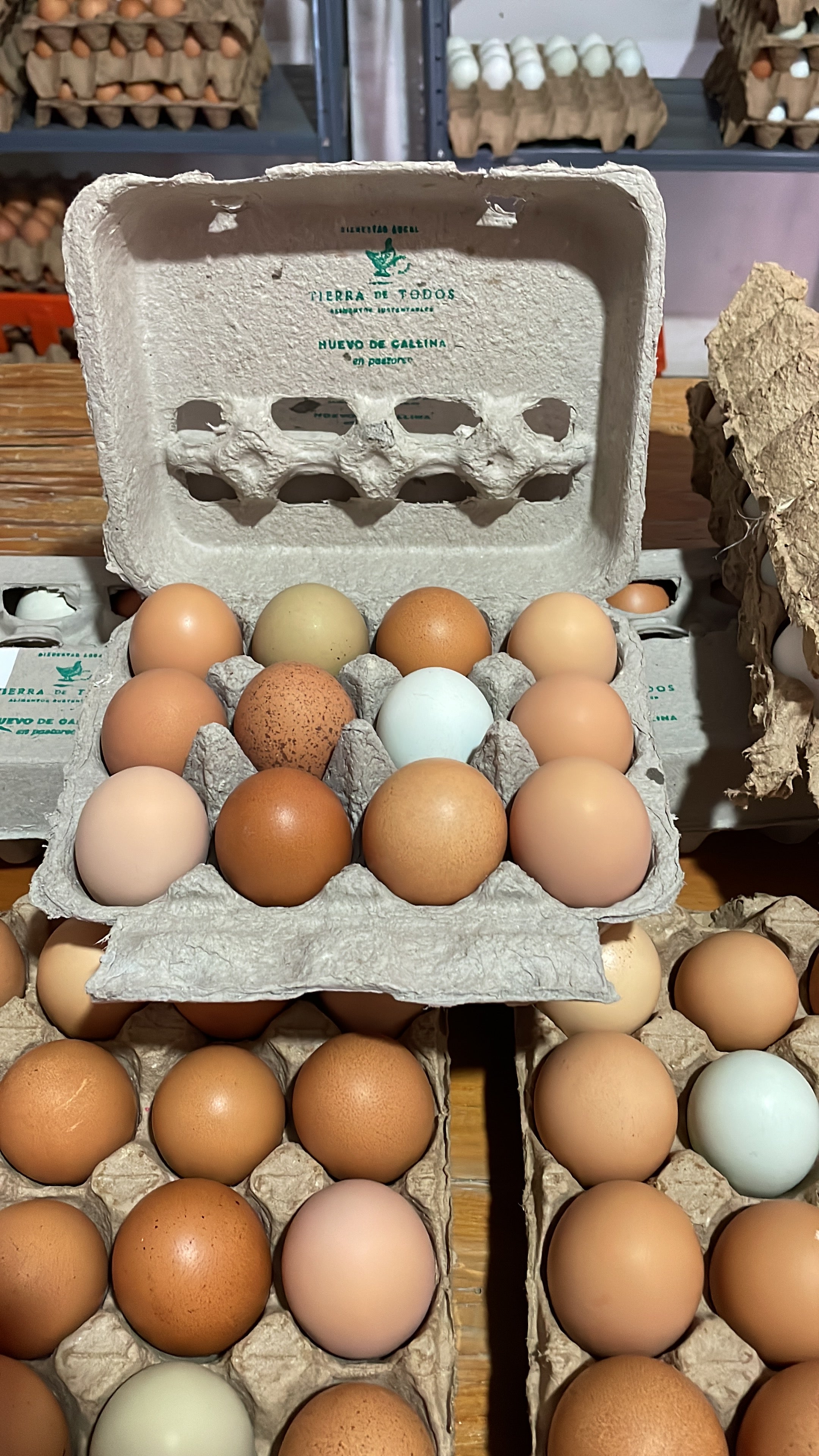 Huevo, en docenera, de gallinas de pastoreo