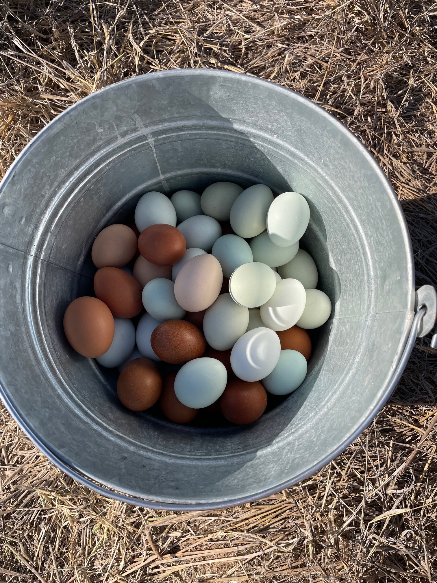 Huevo, en treintena, de gallinas de pastoreo