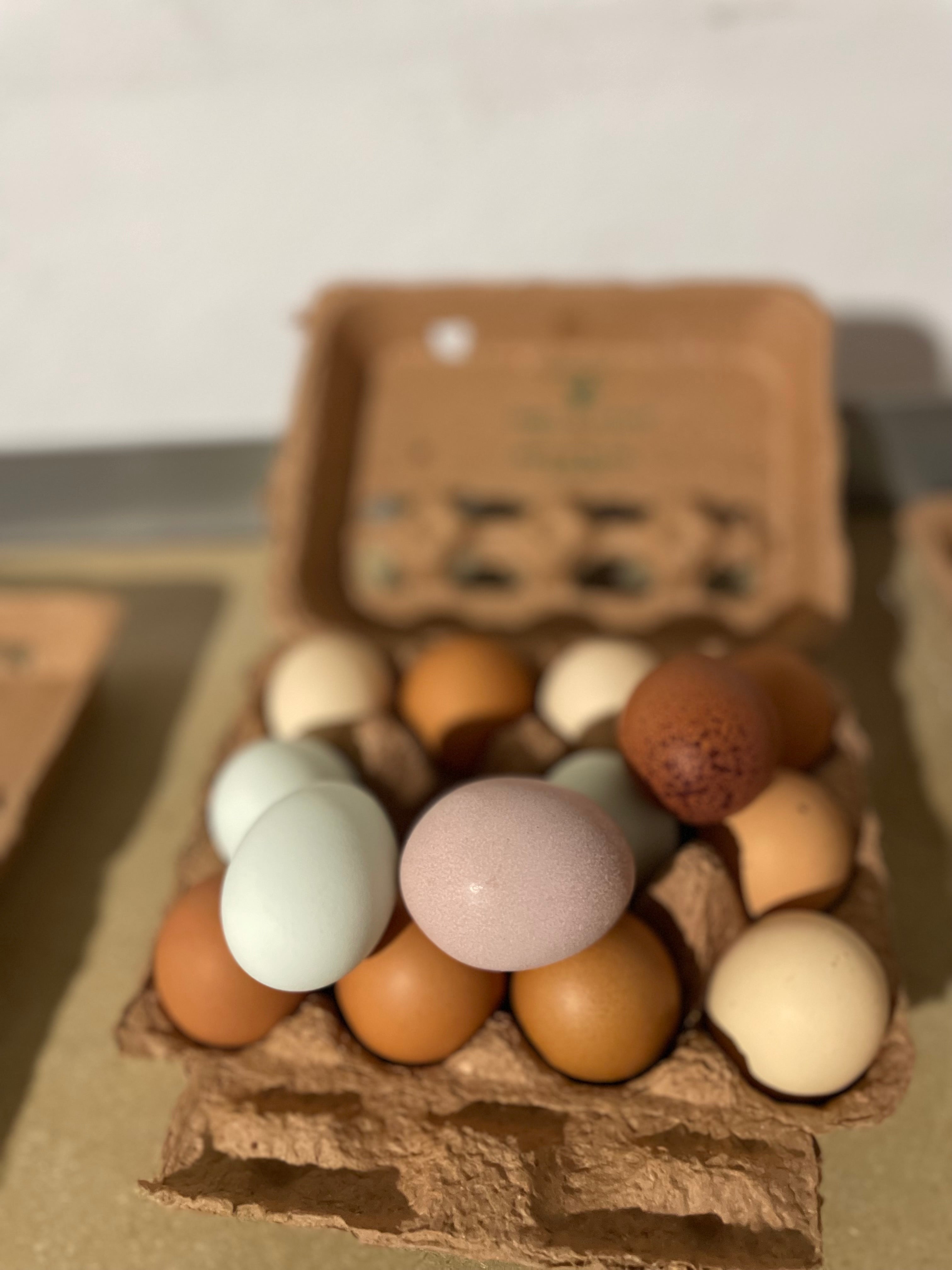Huevo, en docenera, de gallinas de pastoreo